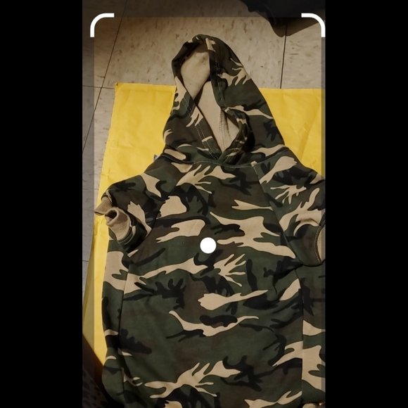 DOGS - Picture 4 of 4